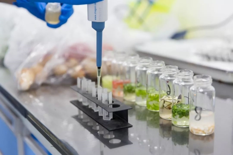 農藥殘留快速檢測儀操作步驟