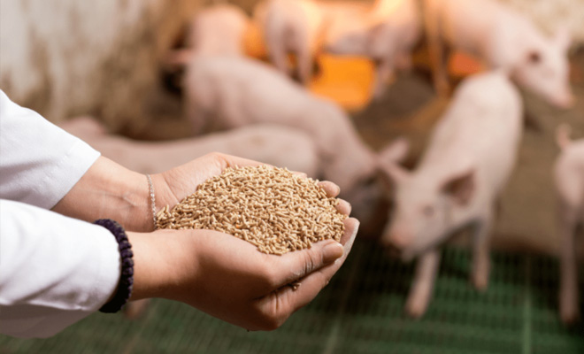  背景與需求分析